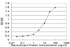 IHC-plus™ MFGE8 /Lactadherin Antibody (clone 1E7)