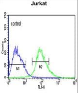 Polyclonal Rabbit anti-Human CANT1 Antibody (aa1-30, WB)