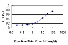 Monoclonal Mouse anti-Human BAF60C / SMARCD3 Antibody (clone 1G6, IF, WB)