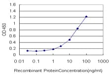 Monoclonal Mouse anti-Human GOLGA1 / Golgin-97 Antibody (clone 6G3, WB)