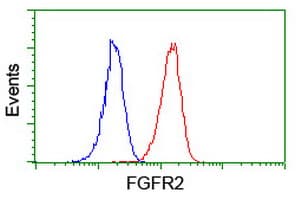 FGFR2 / FGF Receptor 2 Antibody (clone OTI3F8)