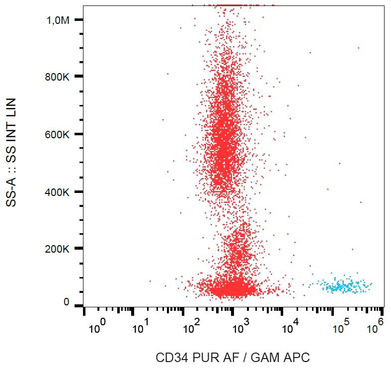 PathPlus™ CD34 Antibody (clone QBEnd-10, Azide-free)
