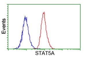 IHC-plus™ STAT5A Antibody (clone 4E7)