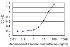 ZNF3 Antibody (clone 1F7)