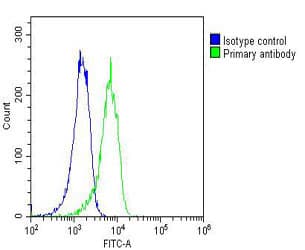 RAB1B Antibody (clone 1673CT667.16.73)