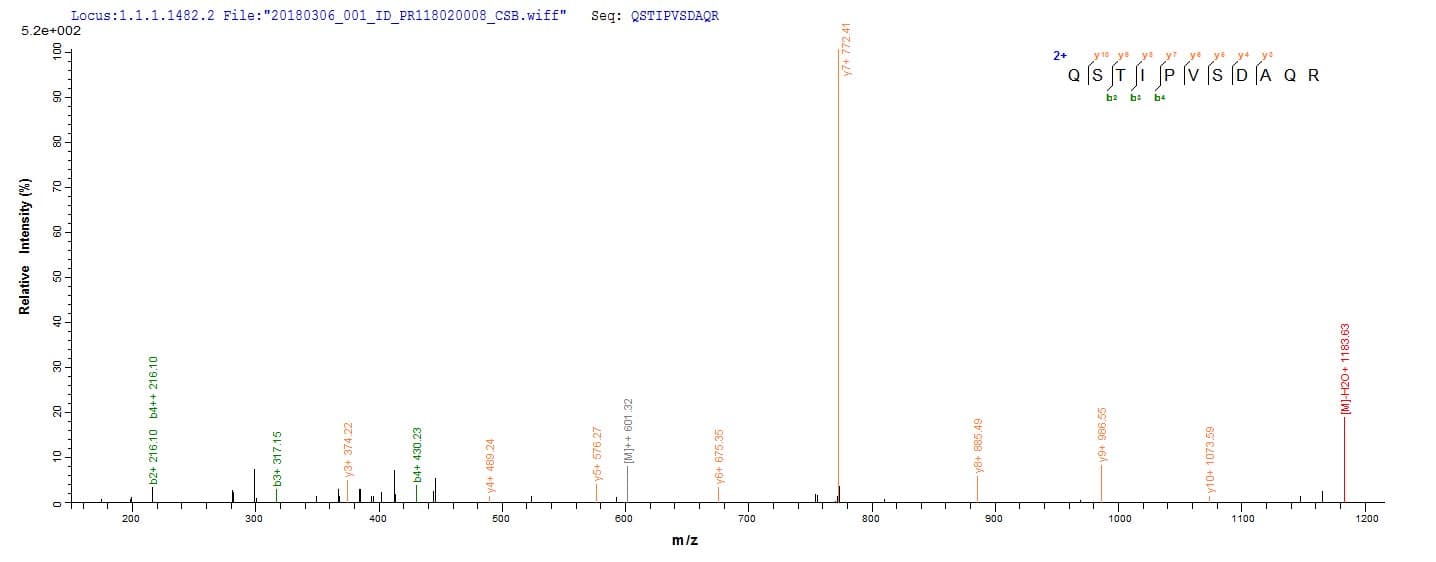 Mistletoe Beta-galactoside-specific lectin 1 Protein (Recombinant 6His, N-terminus)