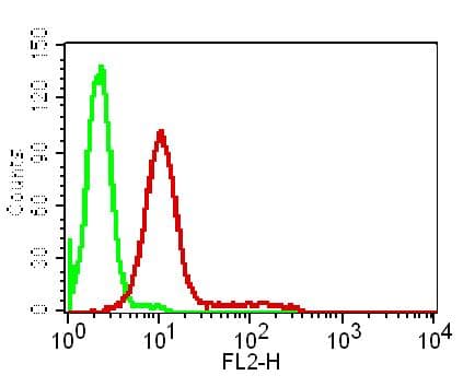 IL1RL2 Antibody