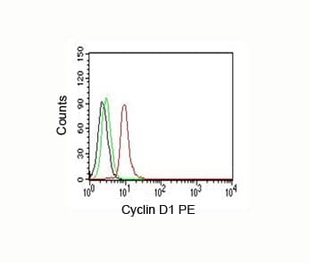 CCND1 / Cyclin D1 Antibody (clone DCS-6, Azide-free, BSA-free)