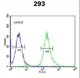 STX1A / Syntaxin 1A Antibody (aa29-57)