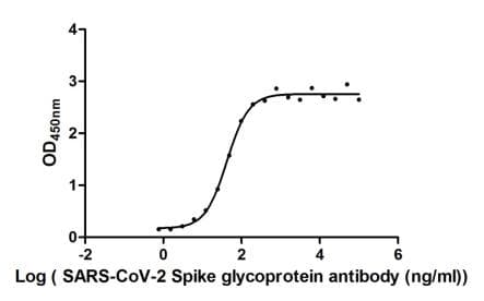 SARS-CoV-2 Spike Glycoprotein Antibody (aa16-685, clone H6)