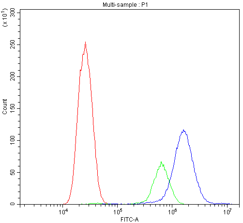 ACLY / ATP Citrate Lyase Antibody