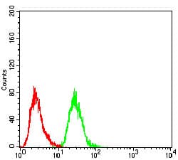 IPAF / NLRC4 Antibody (aa525-538, phospho-Ser533, clone 9A6A1)