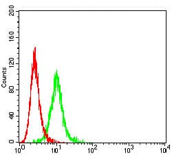 ITGB4 / Integrin Beta 4 Antibody (clone 1D6B4)