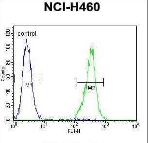 TRIM65 Antibody (aa327-355)