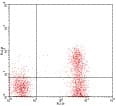 CD3 Antibody (clone UCHT1, FITC)