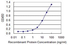 Monoclonal Mouse anti-Human TFDP1 Antibody (clone 3E4, WB)