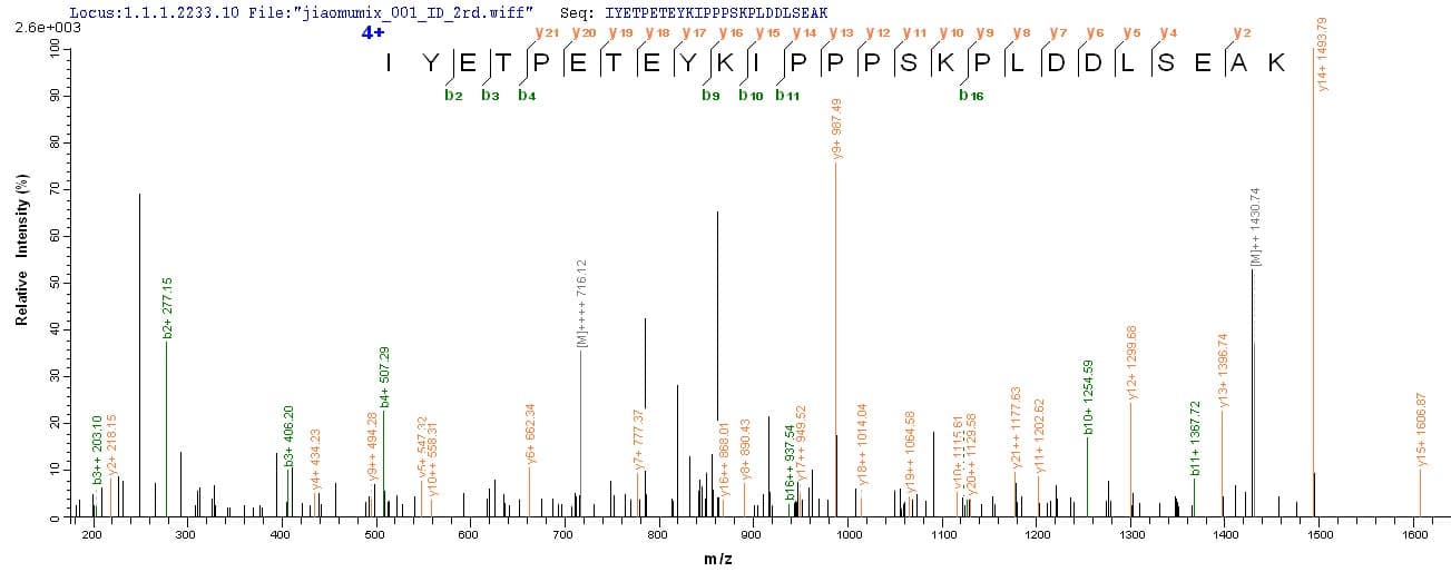 Fruit fly RPS3 / Ribosomal Protein S3 (Recombinant 6His, N-terminus)