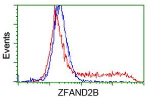 ZFAND2B Antibody (clone OTI2G10, Carrier-free)