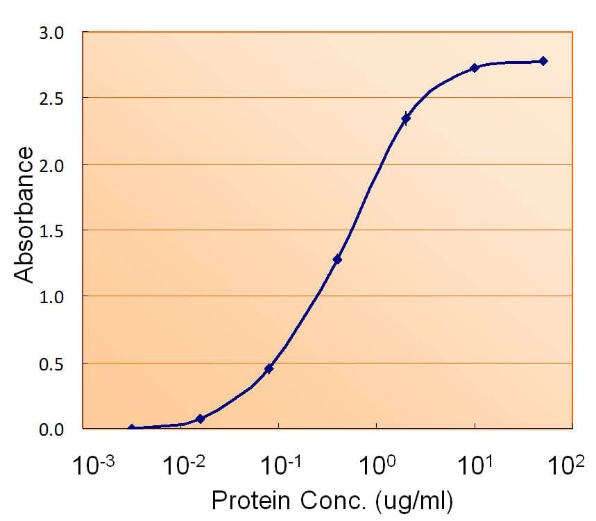 IHC-plus™ FH / Fumarase / MCL Antibody (aa176-189)