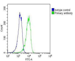 RYK Antibody (clone 1671CT575.42.61)