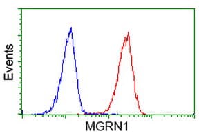 MGRN1 Antibody (clone OTI3A6)