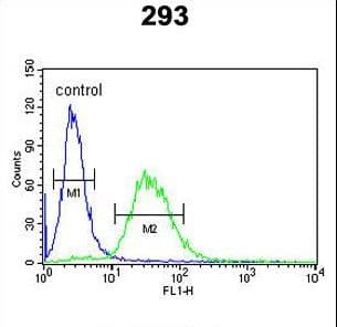 Polyclonal Rabbit anti-Human F10 / Factor X Antibody (aa351-381, IHC, WB)