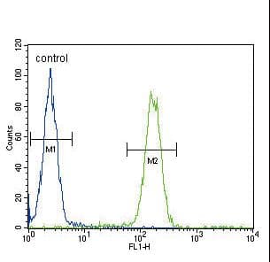 Polyclonal Rabbit anti-Human SCNN1A / ENaC Alpha Antibody (aa365-391, IHC, IF, WB)
