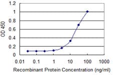 Monoclonal Mouse anti-Human ASCC2 Antibody (clone 3B2, WB)