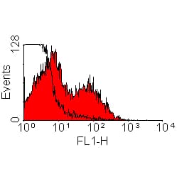 Monoclonal Mouse Anti-Rat Kappa Light Chain Secondary Antibody (clone OX-12, HRP)
