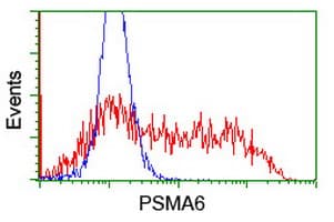 PSMA6 Antibody (clone OTI1F3, Carrier-free)