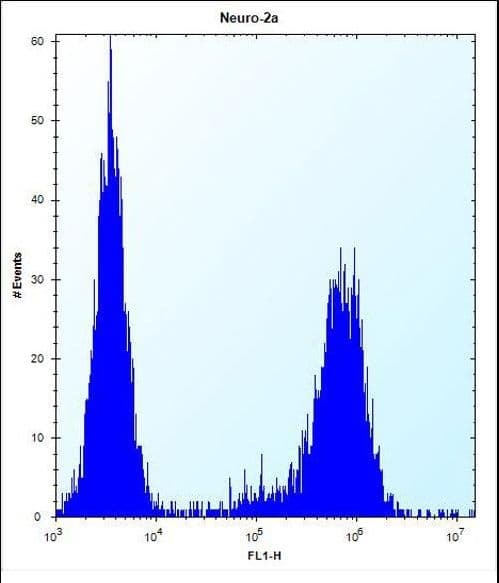 MAP3K15 / ASK3 Antibody (aa315-342)