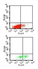 IL-1B / IL-1 Beta Antibody (clone 43N3D8)