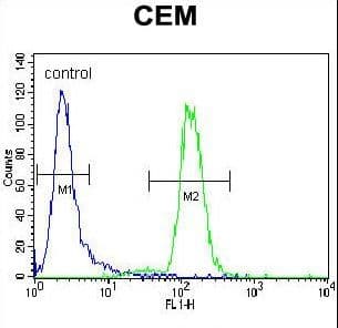 DISC1 Antibody (aa701-728)