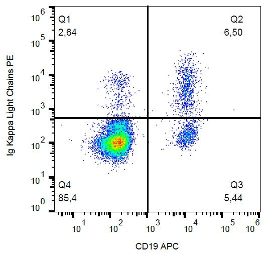 Mouse Anti-Human Kappa Light Chain Secondary Antibody (clone A8B5, PE)