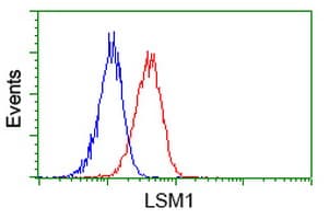 LSM1 Antibody (clone OTI5E6)