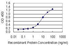 HSPA6 / HSP70B' Antibody (clone 6H7)