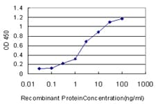 IHC-plus™ SP1 Antibody (clone 1A5)