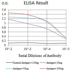 IHC-plus™ LILRB2 / ILT4 Antibody (clone 2G7E11)