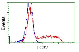 TTC32 Antibody (clone OTI1F4)