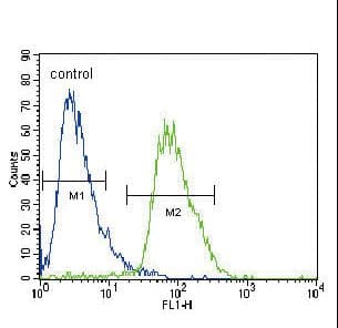 CACNA2D3 / Alpha-2/Delta-3 Antibody (aa1026-1053)