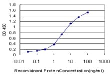 TRIM49 Antibody (clone 2E5)