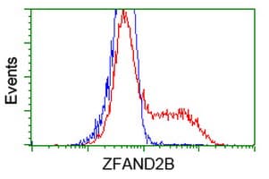 ZFAND2B Antibody (clone OTI3E3)