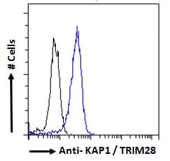 IHC-plus™ Polyclonal Goat anti-Human TRIM28 / KAP1 Antibody (aa823-835, IHC, IF)