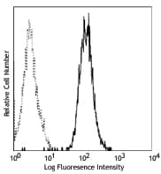 MME / CD10 Antibody (clone HI10a)