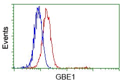 GBE1 Antibody (clone OTI3C8, Carrier-free)