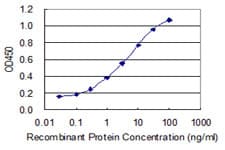 ZNF7 Antibody (clone 6F2)