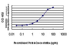 Monoclonal Mouse anti-Human EXOSC3 Antibody (clone 5C3, IHC, WB)