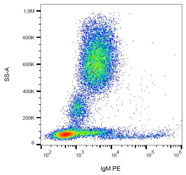 Mouse Anti-Human IgM Secondary Antibody (clone CH2, PE)