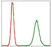 PPP2R4 Antibody (clone 4D9)