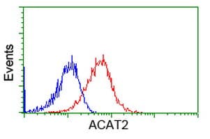 ACAT2 Antibody (clone OTI1C5)
